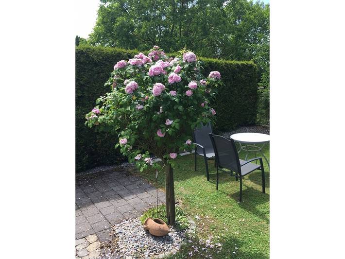 Ferienwohnung für 2 Personen, mit Garten in Baden-Württemberg