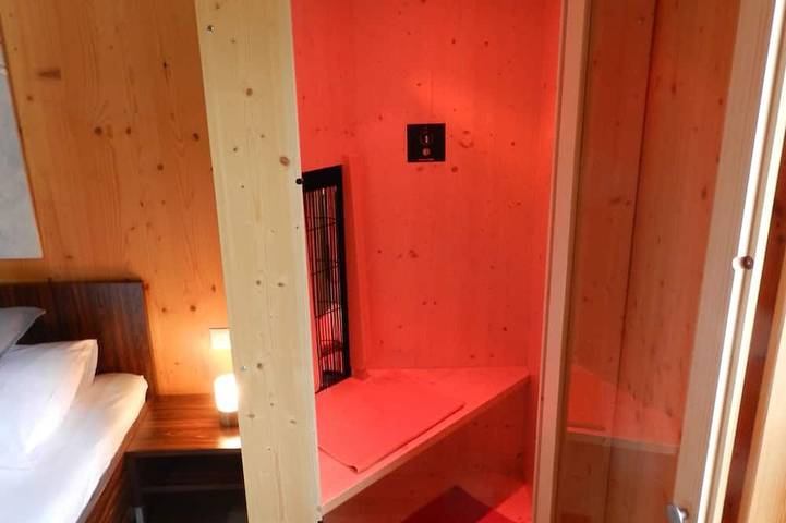 Ferienhaus für 4 Personen, mit Sauna und Garten in Dalaas - 3