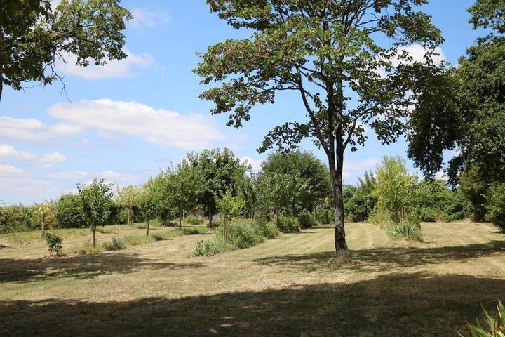 Tente pour 2 personnes, avec vue ainsi que jardin et piscine en Indre-et-Loire - 4