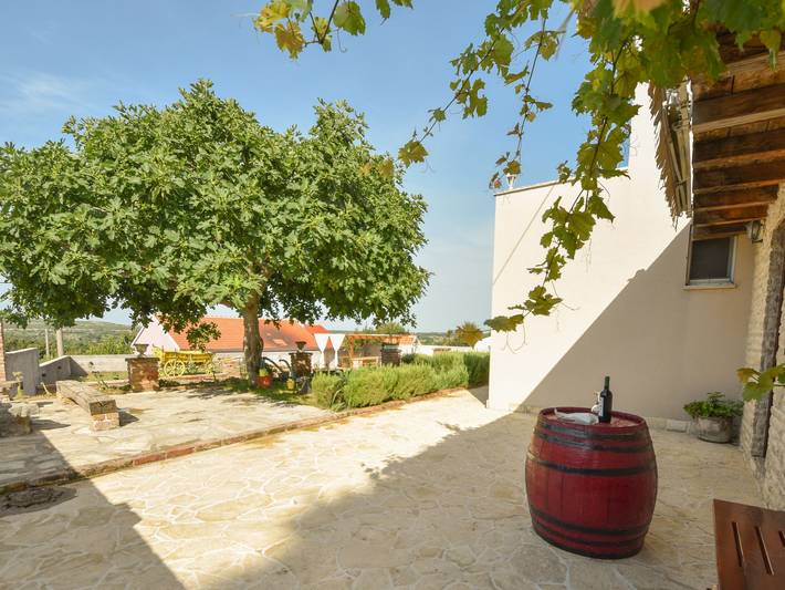 Ferienhaus für 10 Personen, mit Terrasse und Pool in Zadar - 3