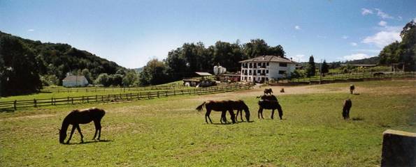 Cottage pour 2 personnes, avec vue et terrasse, animaux acceptés dans Rueglio