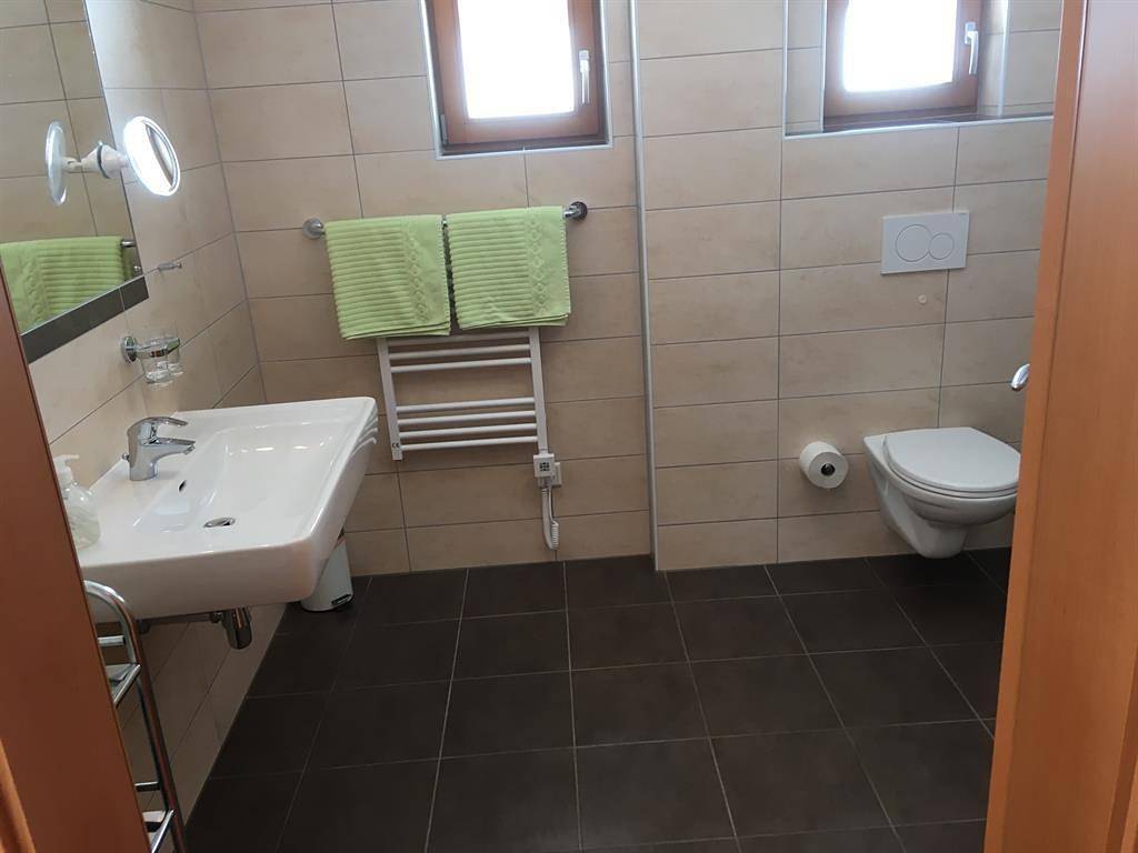 Ganze Ferienwohnung, Doppelzimmer Widdersberg mit Dusche/ Wc, Balkon in Mühlbach am Hochkönig, Ski Amadé