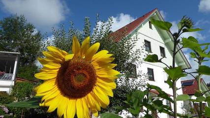 Ferienwohnung für 2 Personen, mit Terrasse in Wangen