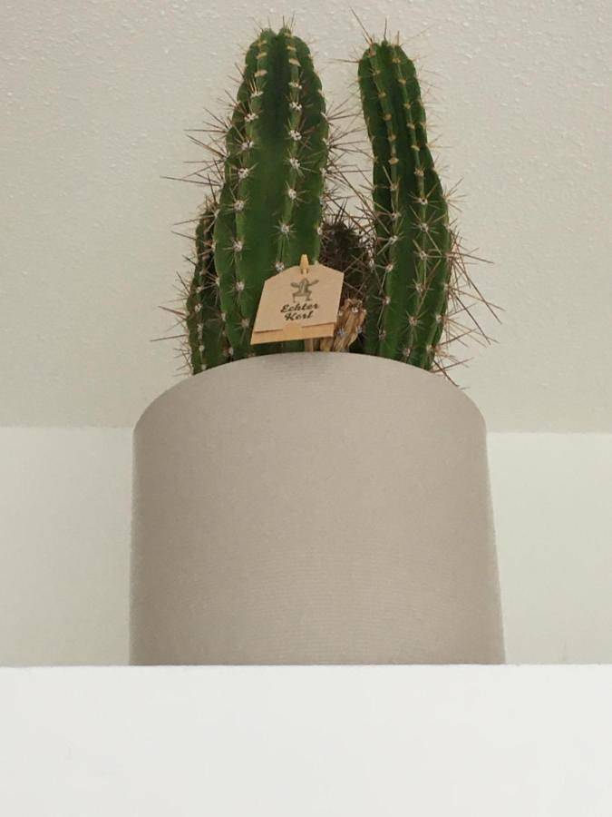 Ferienwohnung für 2 Personen, mit Terrasse und Garten in Klotzsche - 4