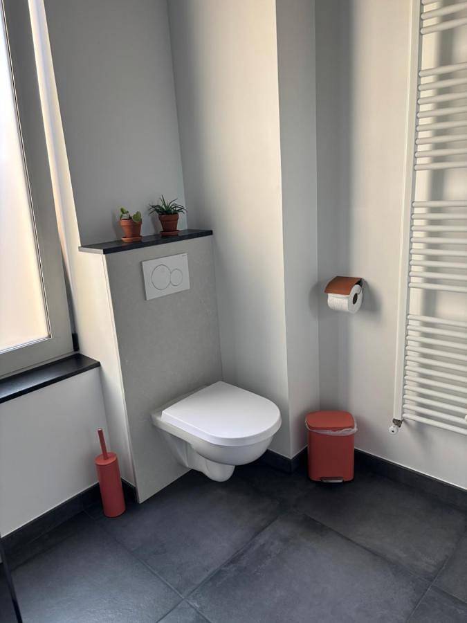 Chambre d’hôte pour 4 personnes, avec piscine ainsi que jardin et terrasse, animaux acceptés à La Flèche - 3