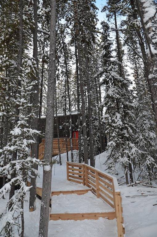 Black Spruce - Red Door in Whitehorse, Yukon
