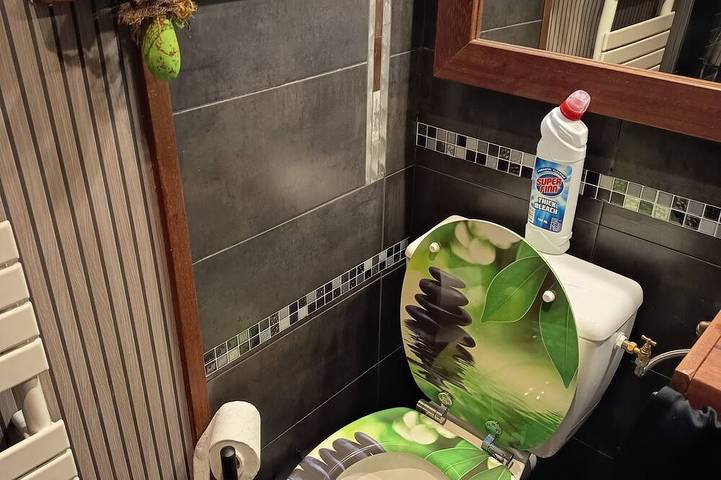 Gîte pour 3 personnes, animaux acceptés à Provin - 4