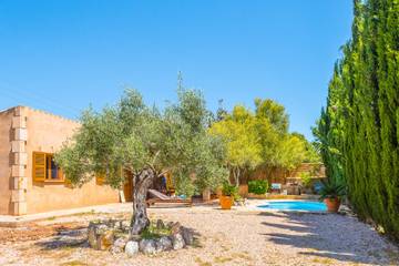 Villa in Port Nou, Son Servera für 6 