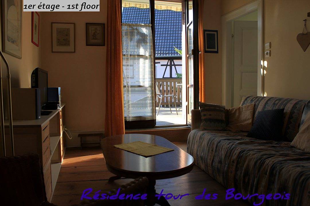 Appartement entier, Appartement 1, face Vosges et vignes, calme, confortable, Alsace in Ammerschwihr, Parc naturel régional des Ballons des Vosges