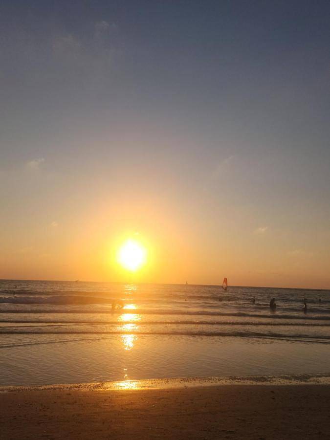 Gîte pour 4 personnes, animaux acceptés dans Cesaree - 2