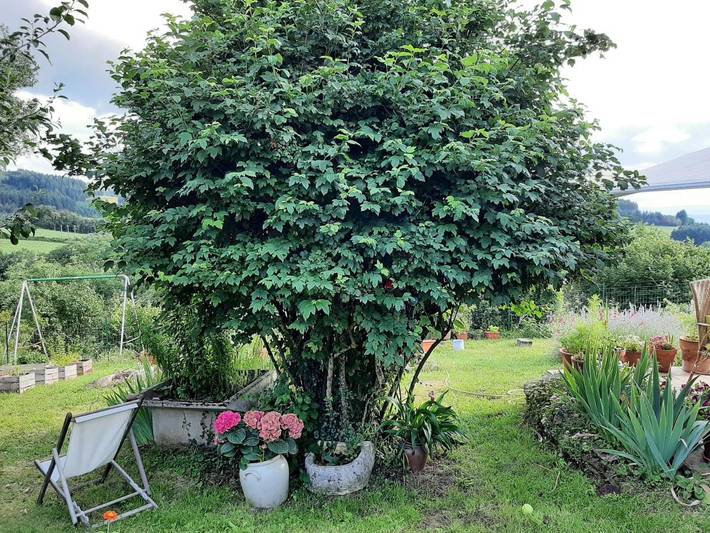 Maison de campagne pour 2 personnes, avec vue ainsi que jardin et terrasse, adapté aux familles dans Meaux-la-Montagne - 4
