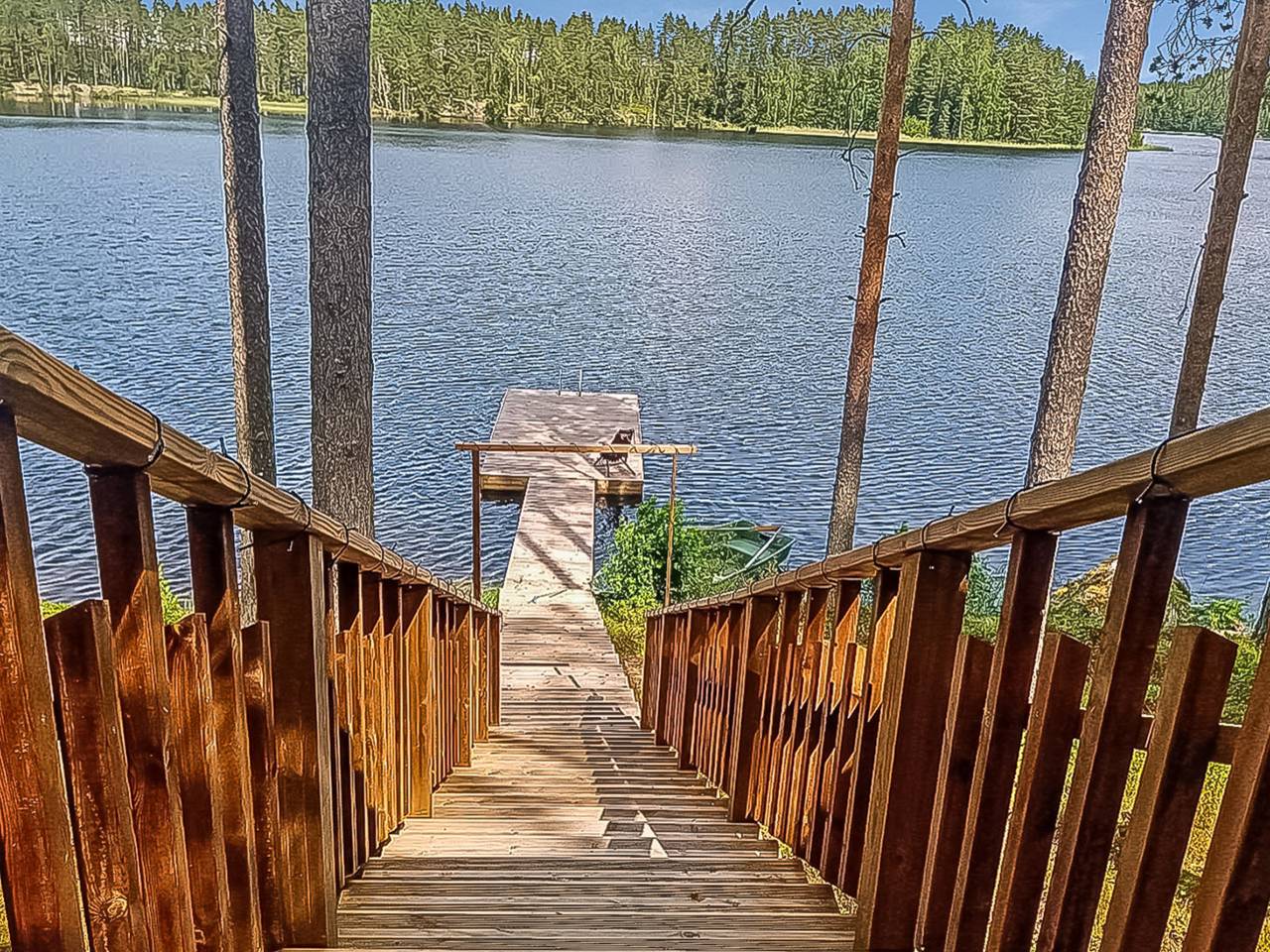 Villa norppa in Savonlinna, Pihlajavesi