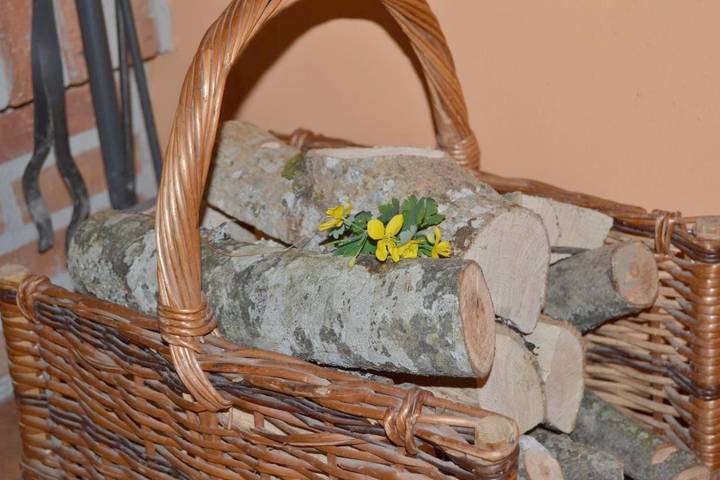 Casa rural para 5 personas, con vistas y terraza, Se admiten mascotas en Parque Natural de Redes - 3