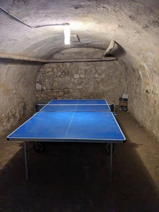 Seven-Bedroom House in Saint-Savin, Vienne (France)