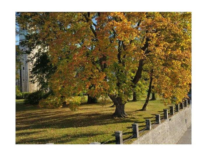 Ferienhaus für 4 Personen in Quedlinburg - 4