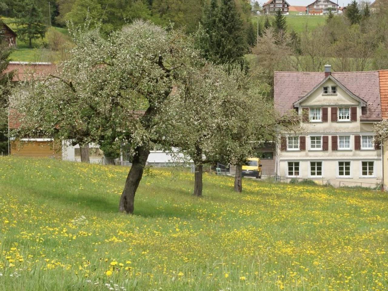 Haus Usziit - Zeit die Seele baumeln zu lassen in Degersheim, Kanton St. Gallen