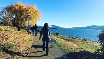 Holiday Home for 8 People in Jindabyne, New South Wales, Photo 3