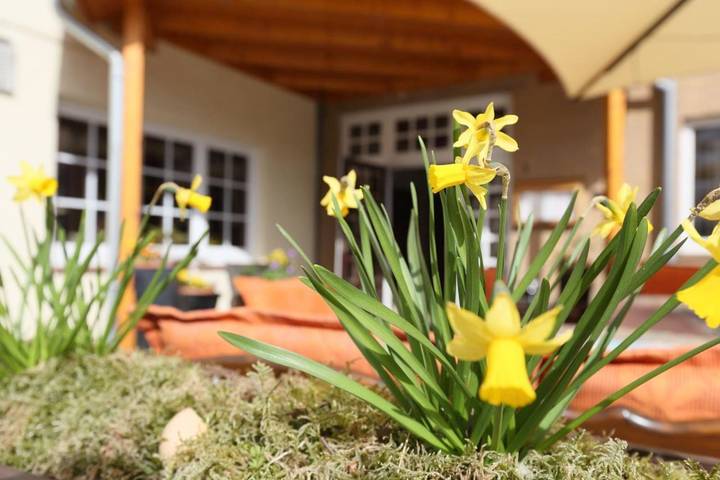 Hotel für 3 Personen, mit Terrasse und Garten in Visselhövede - 4