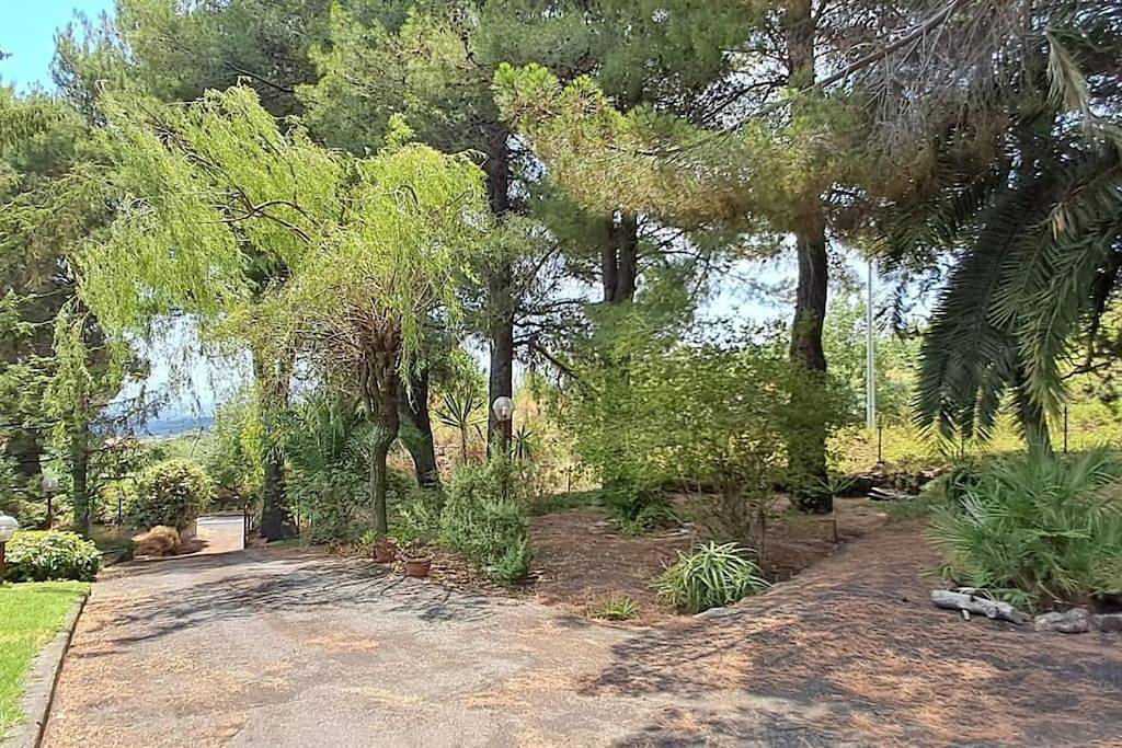 Standard Villa in Trecastagni, Etna