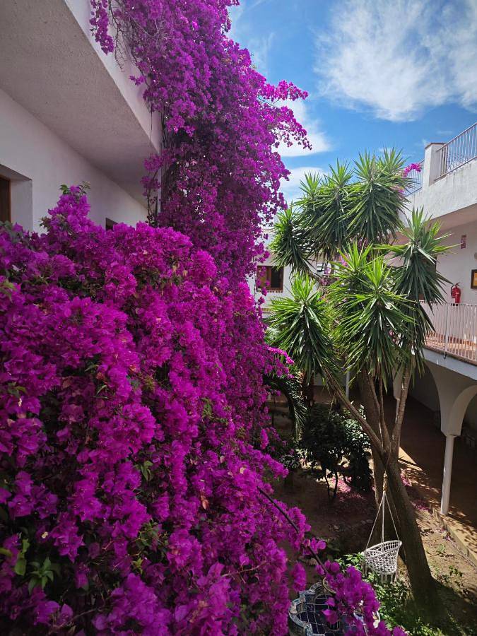 Apartamento para 2 personas, con Balcón y Terraza además de Jardín y Vistas en Vilamaniscle