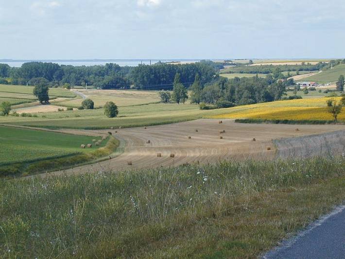Location de vacances pour 18 personnes, avec jardin dans Lac du Baron Desqueyroux - 3