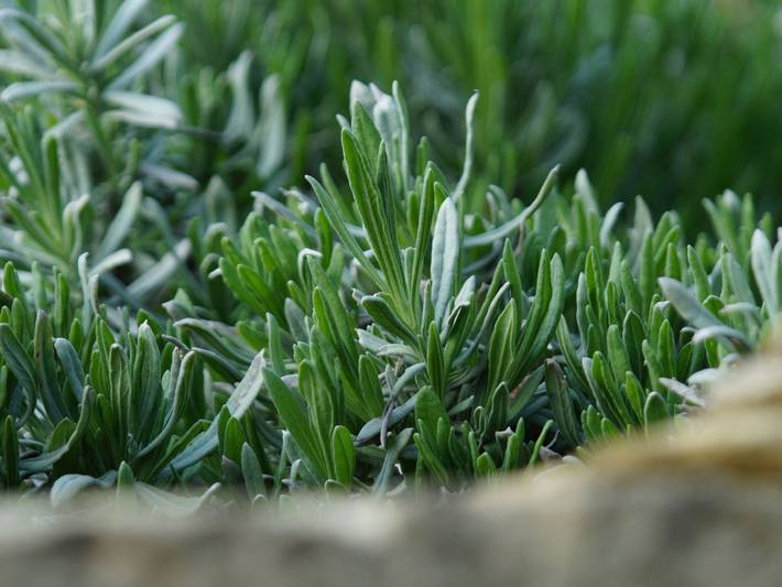 Ferienwohnung für 2 Personen, mit Garten und Terrasse in Freital - 2