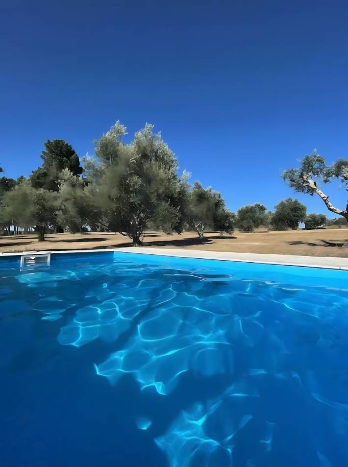 Ferienhaus für 9 Personen, mit Garten, mit Haustier in Portugal - 3
