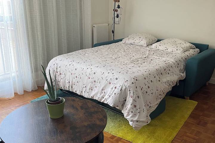Appartement entier, Grand studio lumineux et calme à 15 mn de Paris - 10mn de La Défense/Celine Dion in Asnières-sur-Seine, Hauts-de-Seine