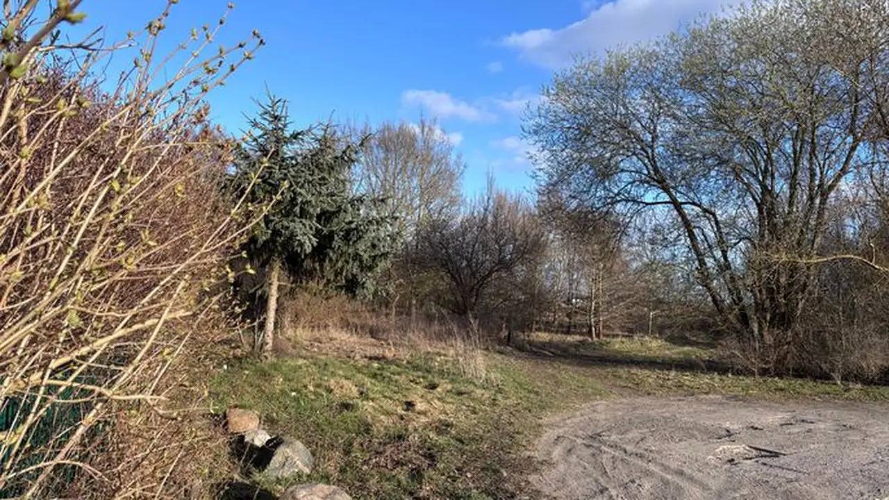 Entire holiday apartment, Ferienwohnung für 2 Personen (39 m²) in Greifswald in Greifswald, Vorpommern Greifswald