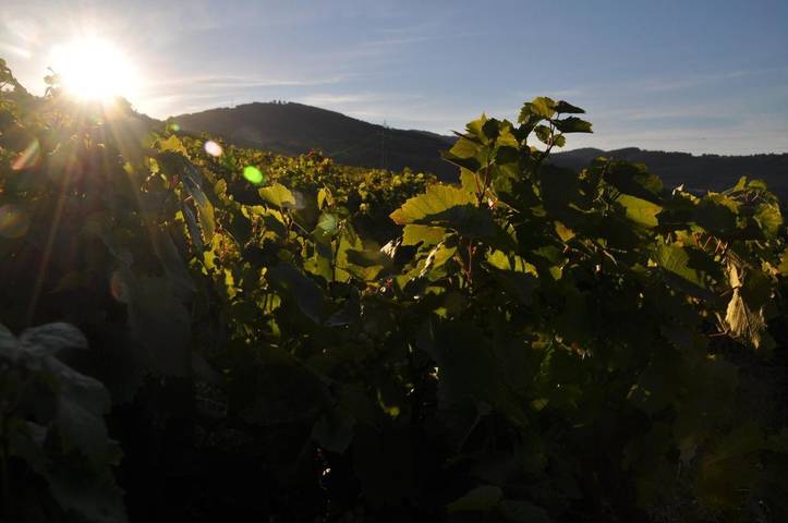 Location de vacances pour 2 personnes, avec piscine et terrasse à Saint-Julien (Rhône) - 4