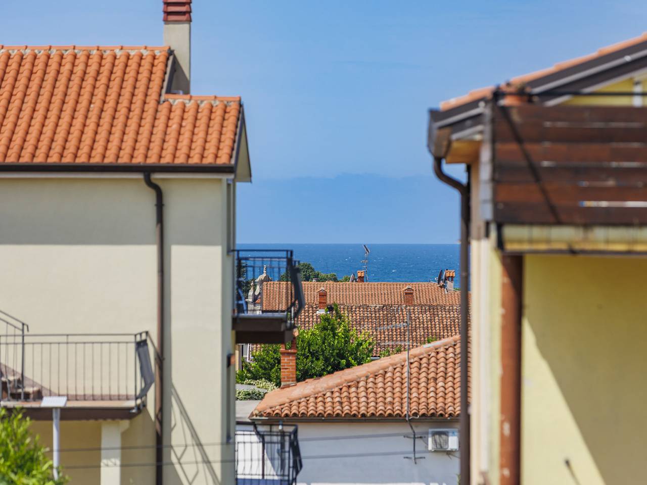 Cały apartament, Olivo in Novigrad, Umag i okolice
