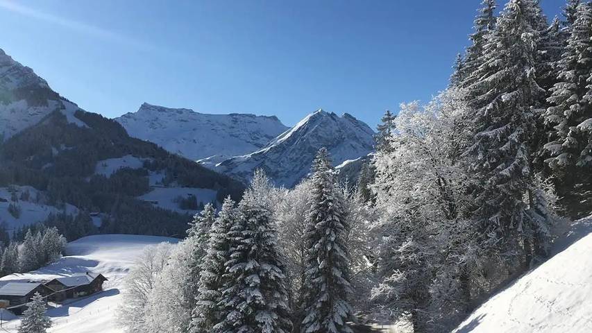 Gîte pour 9 personnes, avec jacuzzi et jardin à Adelboden - 4