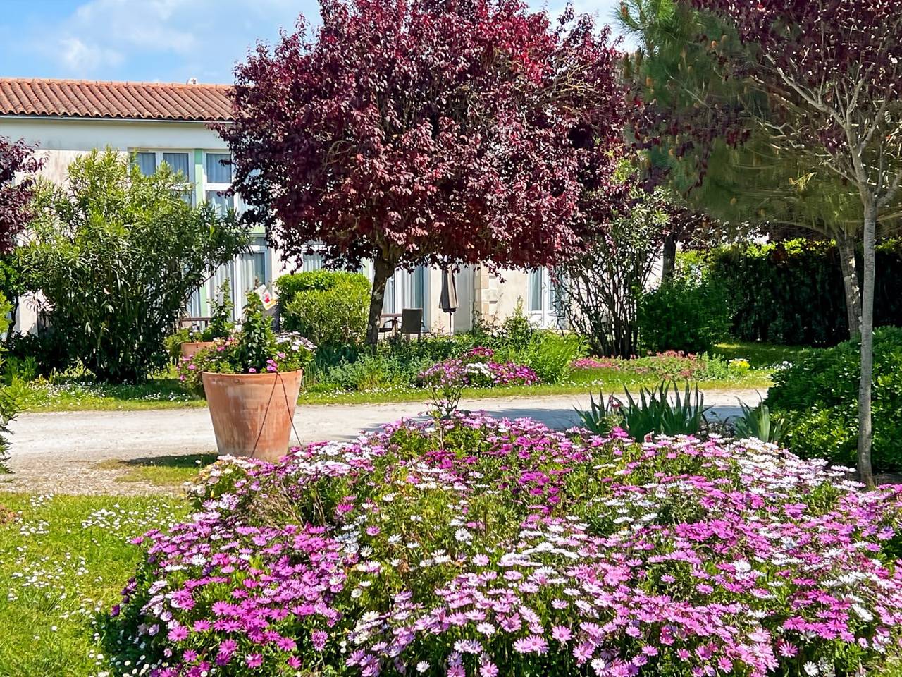 Appartement entier, Joli Appartement Studio au Cœur de St Martin de Ré in Saint-Martin-de-Ré, Île de Ré