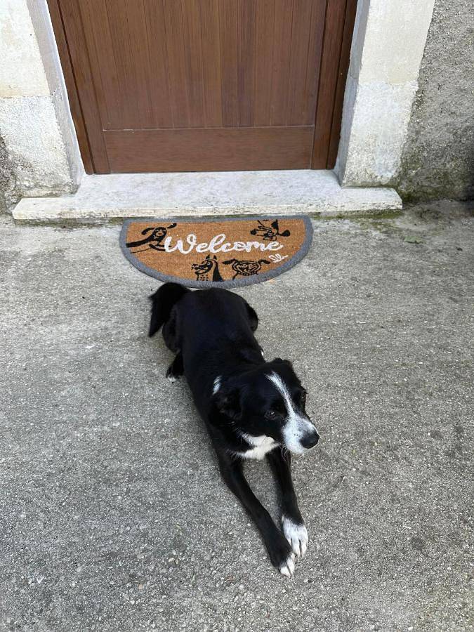 Location de vacances pour 3 personnes, avec jardin et vue, animaux acceptés à San Valentino in Abruzzo Citeriore
