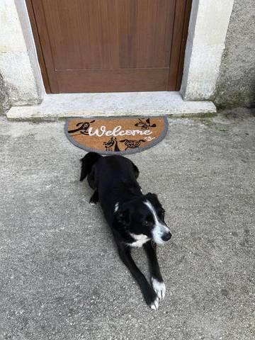 Location de vacances pour 3 personnes, avec jardin et vue, animaux acceptés à San Valentino in Abruzzo Citeriore