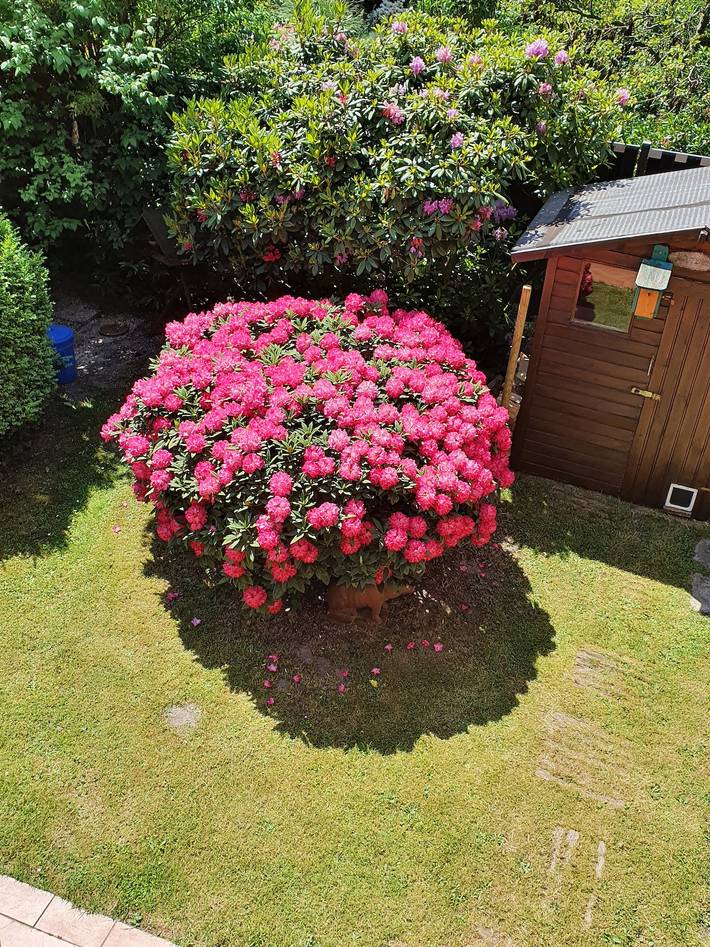 Ferienwohnung für 4 Personen, mit Garten in Deutschland - 3