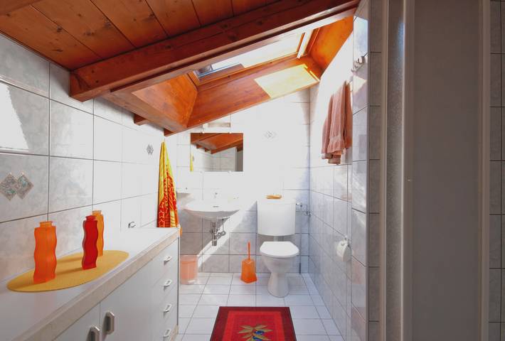 Ganze Ferienwohnung, Goia in Gambarogno, Lago Maggiore (Schweiz)