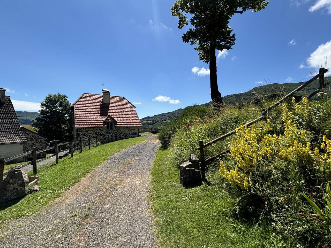 Gîte pour 10 personnes, à proximité du Lioran in Saint-Jacques-des-Blats, Région d'Aurillac