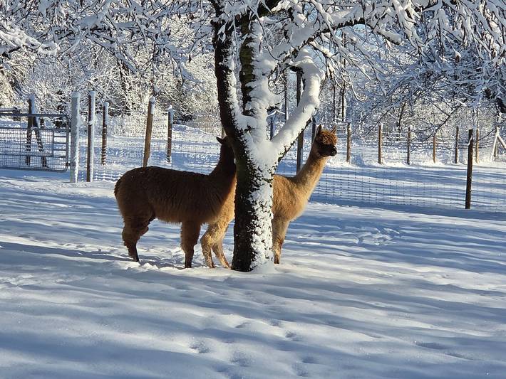 Bauernhaus für 3 Personen, mit Garten und Ausblick, kinderfreundlich in der Fränkische Schweiz - 3