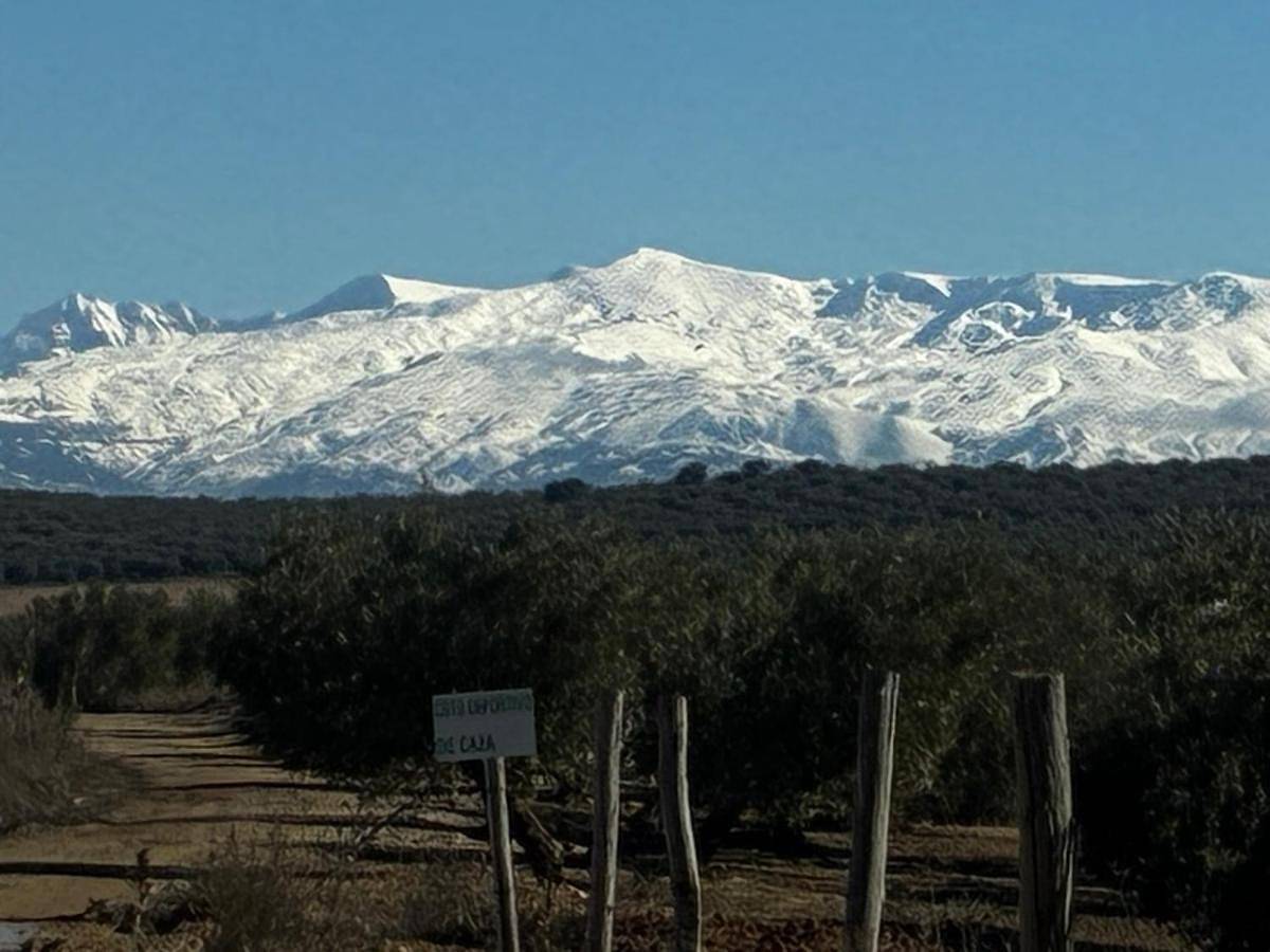 Casa Rural La Loma in Íllora, Provincia de Granada