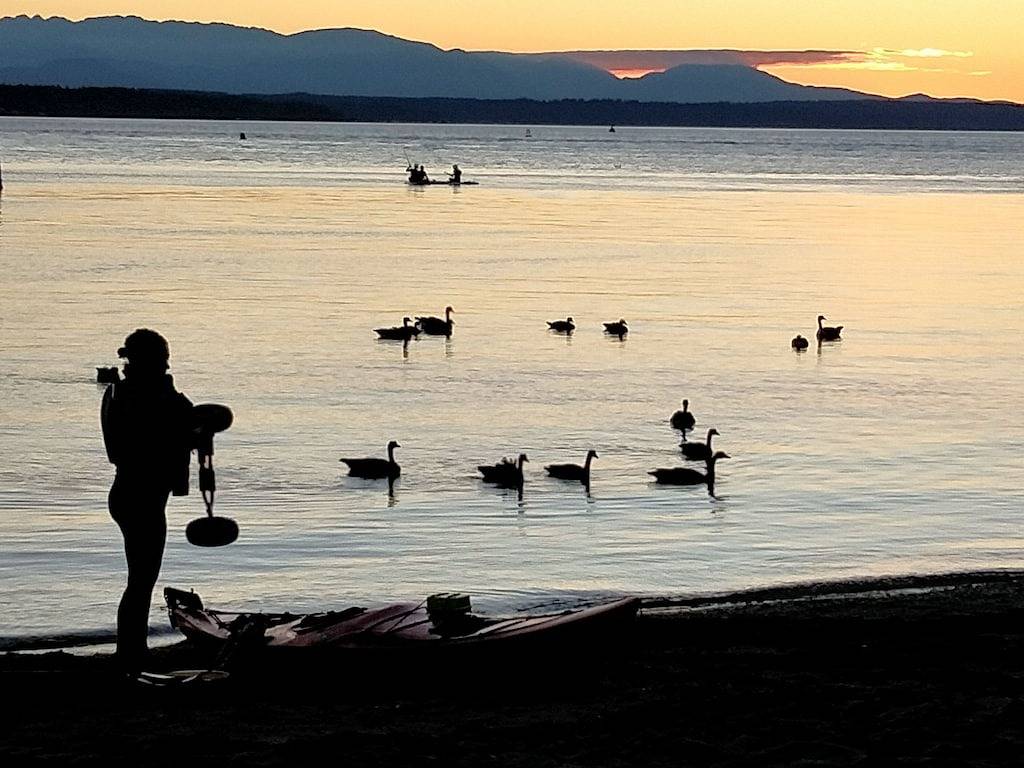 Superb Studio Location, Ballard Locks, Seattle, Wa. in Seattle, King County