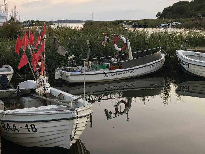 Bungalow für 4 Personen, mit Terrasse, kinderfreundlich in Baabe - 4