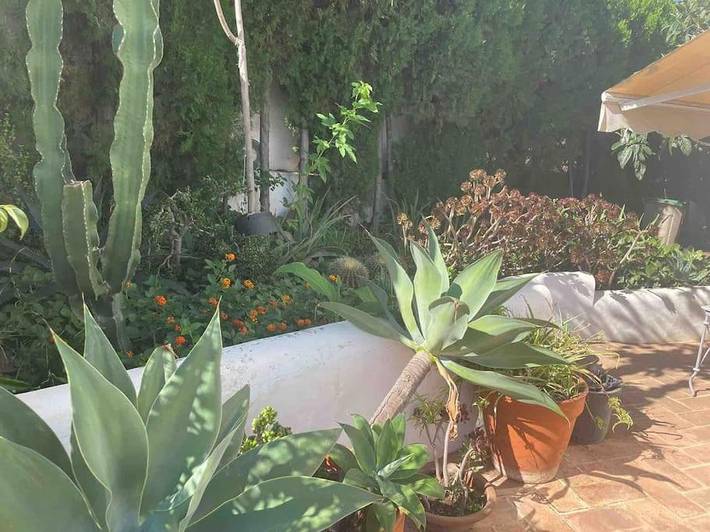 Location de vacances pour 8 personnes, avec jardin et vue ainsi que piscine et balcon à Chiva - 4