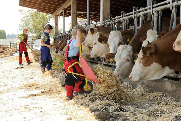 Bauernhaus für 4 Personen, mit Garten und Sauna am Chiemsee - 2