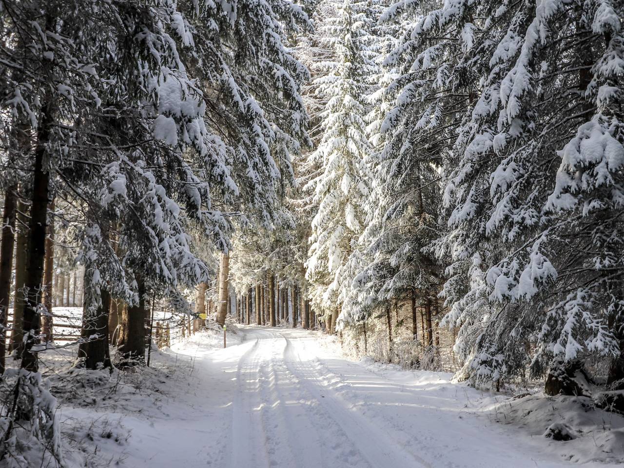 Schönhart in Wolfsberg, Unterkärnten
