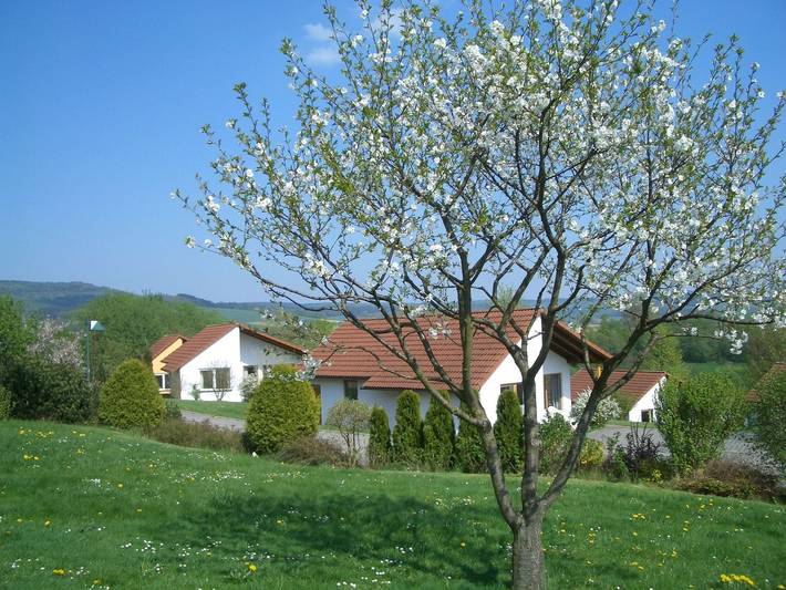Ferienhaus für 6 Personen, mit Terrasse und Garten sowie Pool in Uslar