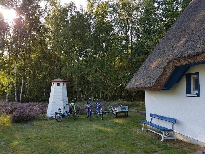 Ferienhaus für 6 Personen, mit Terrasse und Sauna auf Hiddensee - 4