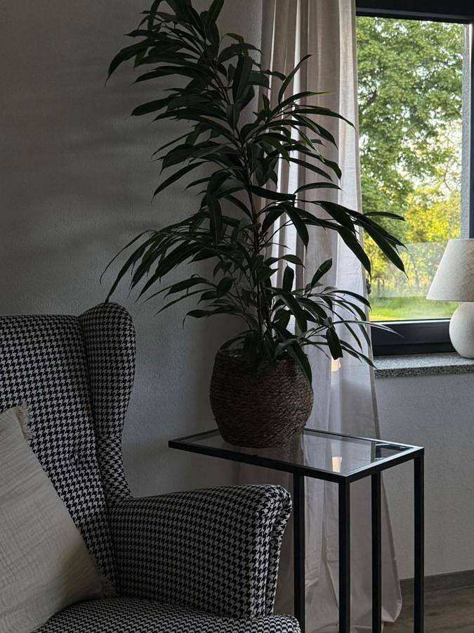 Ganze Wohnung, One-Bedroom Apartment in Neuhausen/Spree, Lausitzer Seenland