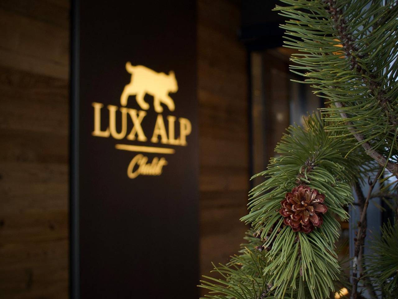 Ganze Ferienwohnung, Lux Alp Chalet in Warth, Bregenzerwald