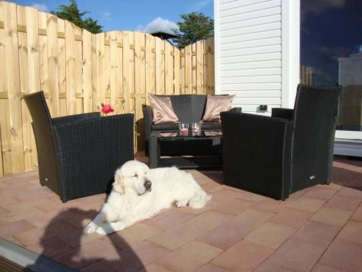 Bungalow für 4 Personen, mit Garten, mit Haustier am Ijsselmeer - 2